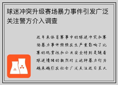 球迷冲突升级赛场暴力事件引发广泛关注警方介入调查
